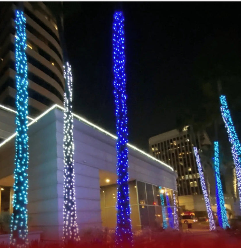 Frozen 5MM Pure White/Blue 50L 6in 25ft