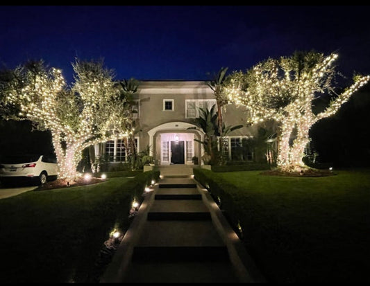 💡 The Art of Christmas Lighting: How to Elevate Your Home This Season